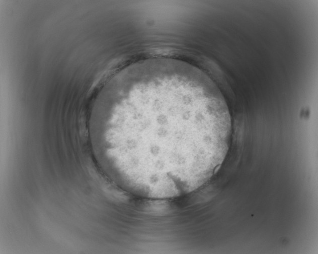 X0000111790377200909031203