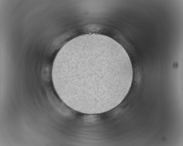 X0000111790378200909031203