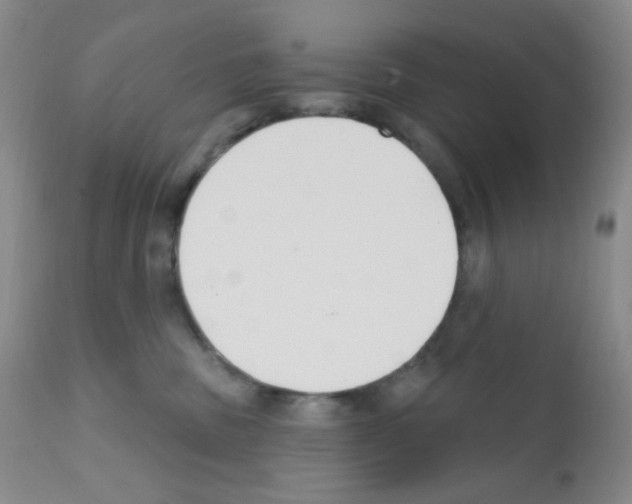 X0000111790379200909031203