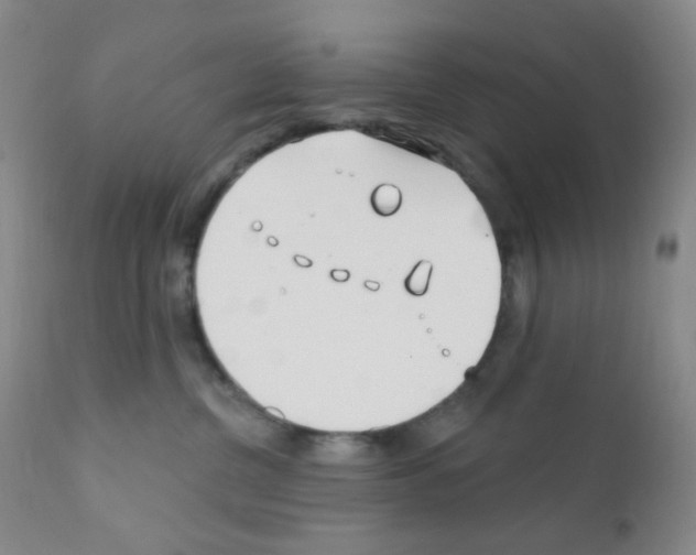 X0000111790380200909031203