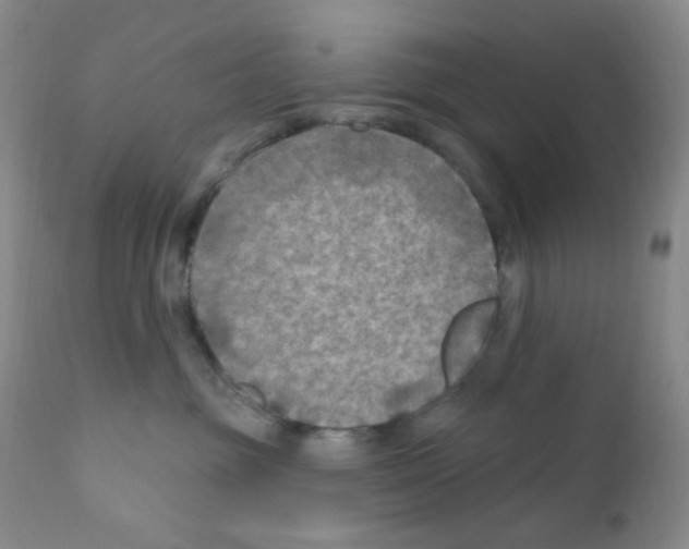 X0000111790381200909031203