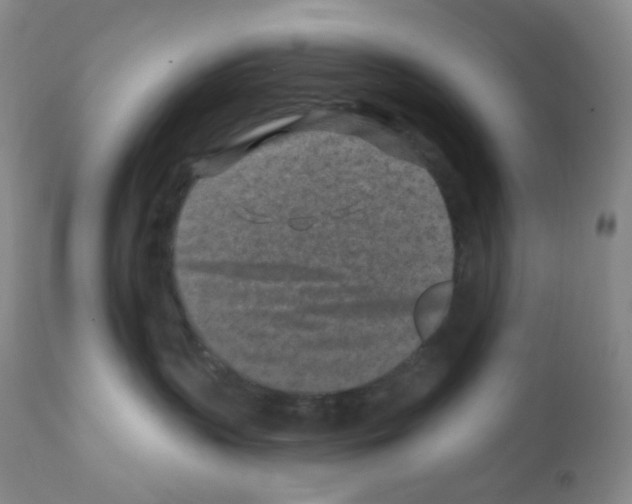 X0000111790383200909031203