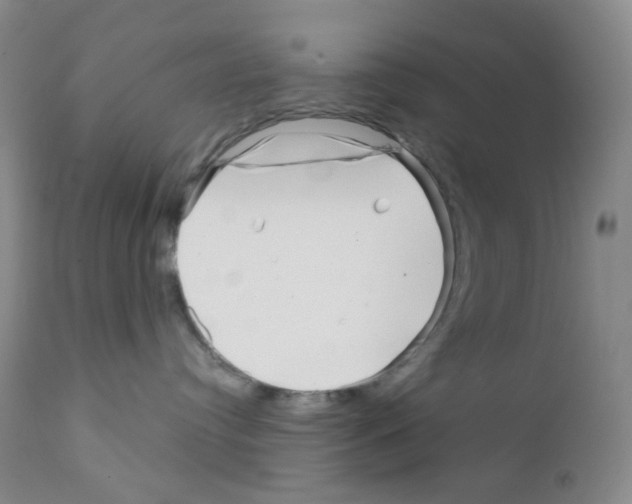 X0000111790384200909031203