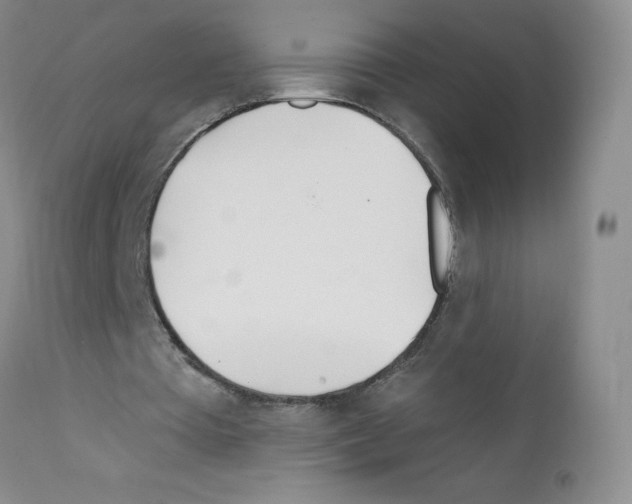 X0000111790385200909031203