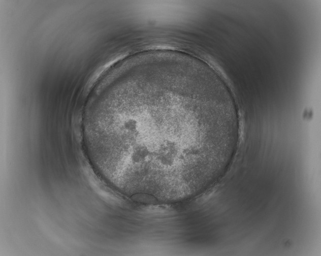 X0000111790386200909031203