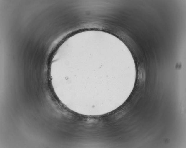 X0000111790388200909031203