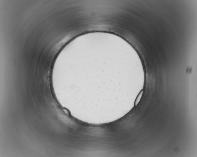 X0000111790389200909031203