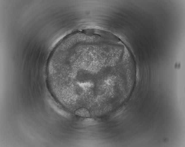 X0000111790390200909031203