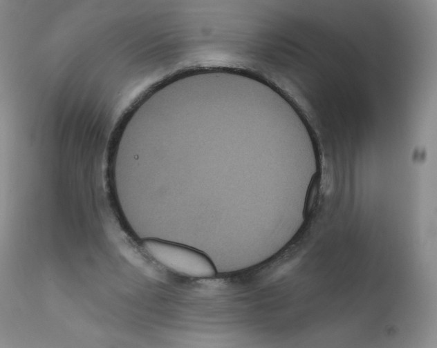 X0000111790391200909031203