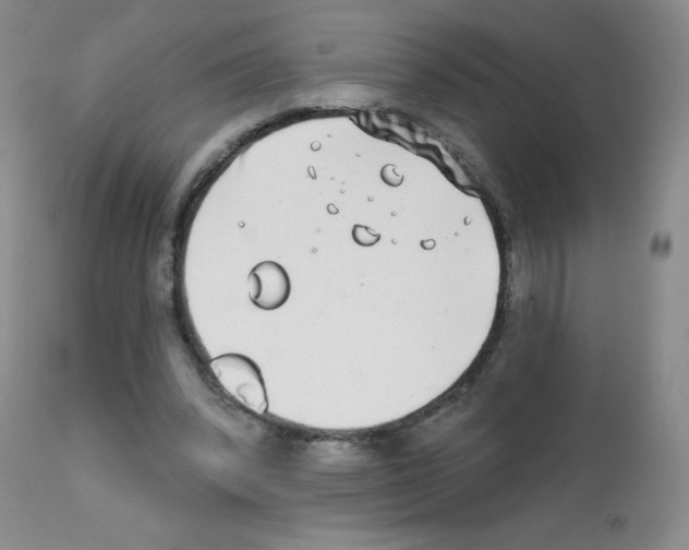 X0000111790392200909031203