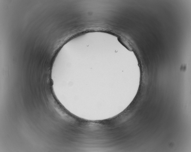 X0000111790393200909031203