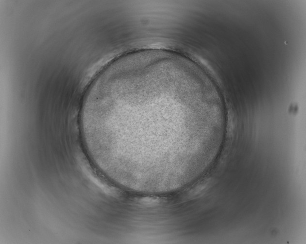 X0000111790394200909031202