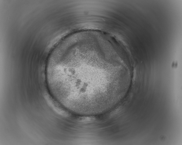 X0000111790398200909031202