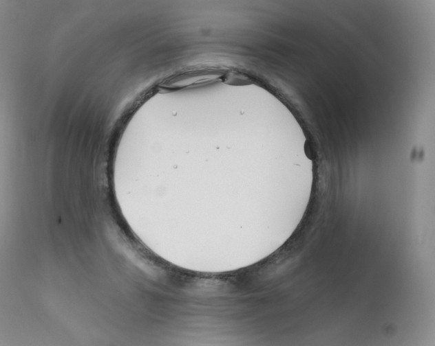 X0000111790399200909031202