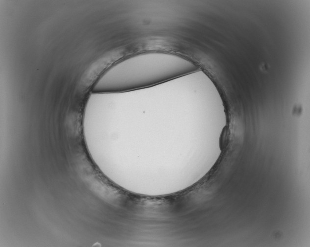 X0000111790401200909031202