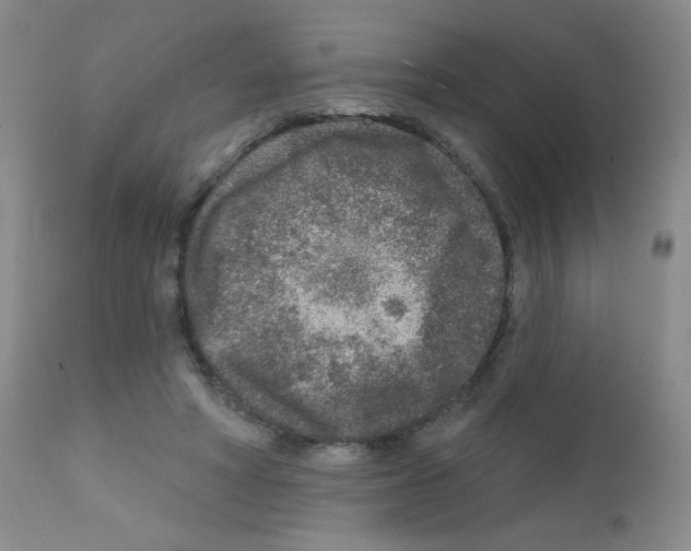 X0000111790402200909031202