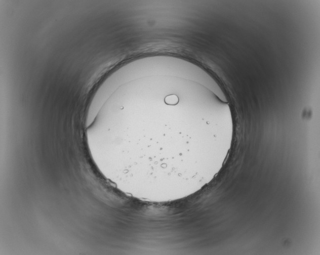 X0000111790403200909031202