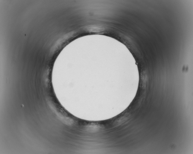 X0000111790404200909031202