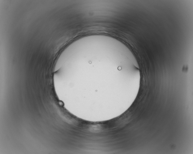 X0000111790411200909031202