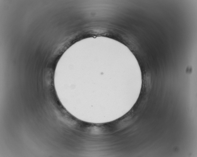 X0000111790412200909031202