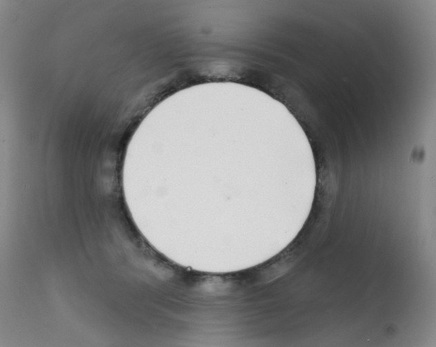 X0000111790416200909031202