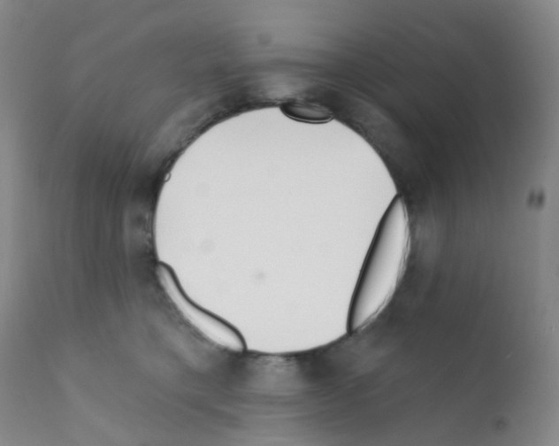 X0000111790421200909031202