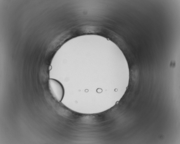 X0000111790422200909031202