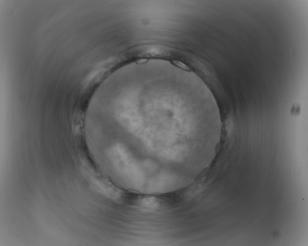 X0000111790423200909031202