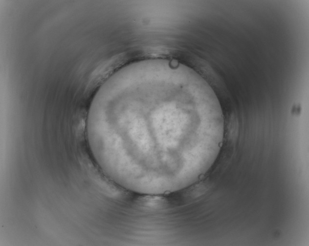 X0000111790427200909031202