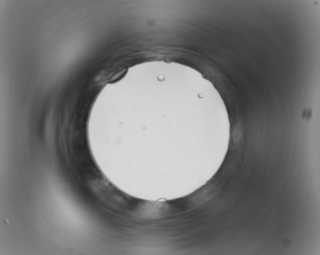 X0000111790429200909031202