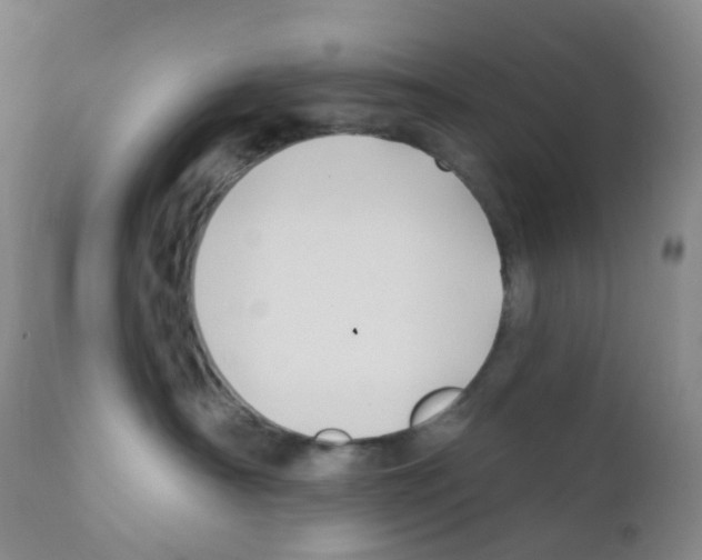 X0000111790430200909031202