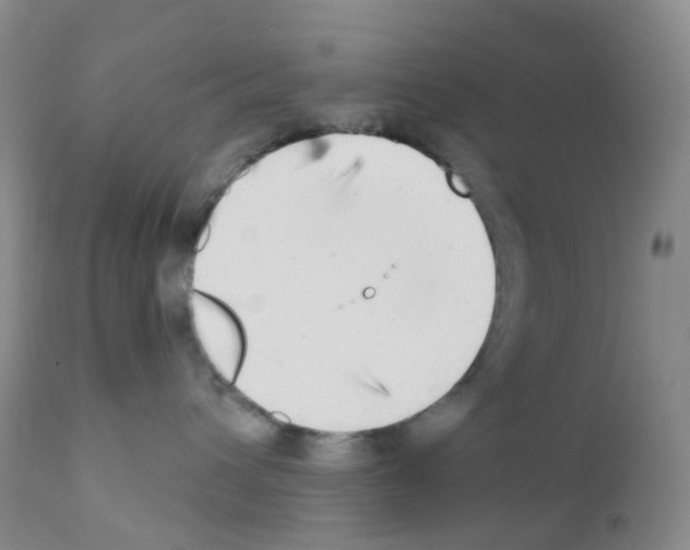 X0000111790432200909031202