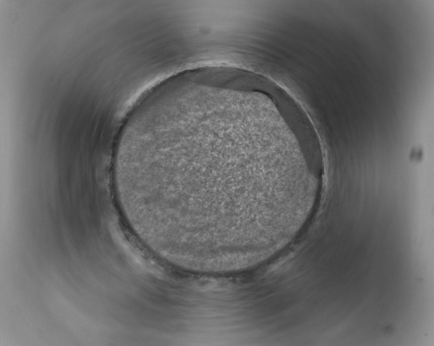 X0000111790434200909031201