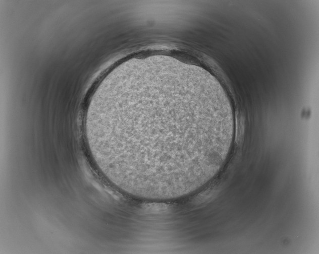 X0000111790435200909031201