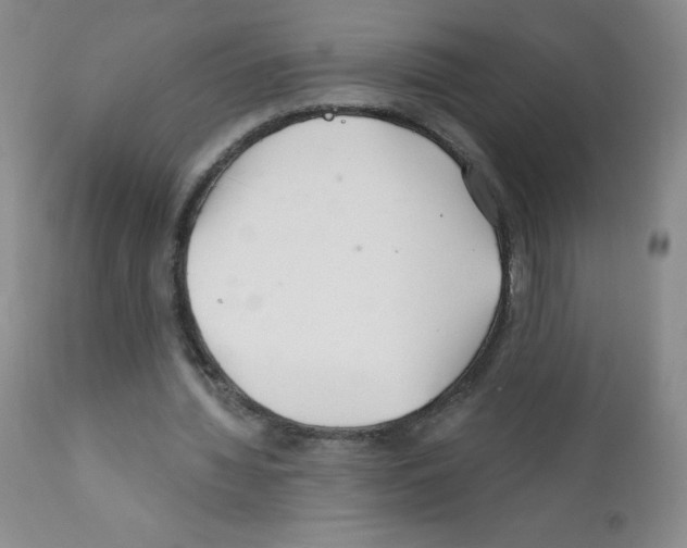 X0000111790436200909031201