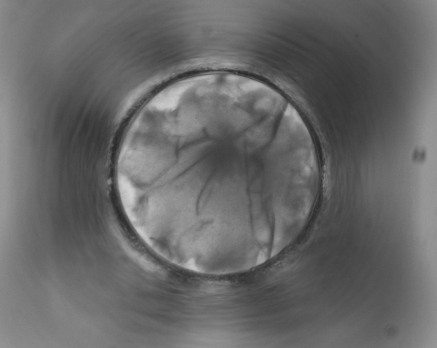 X0000111790438200909031201