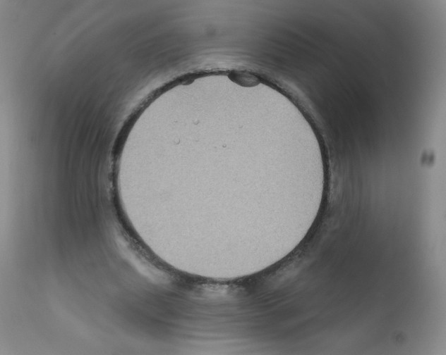 X0000111790439200909031201