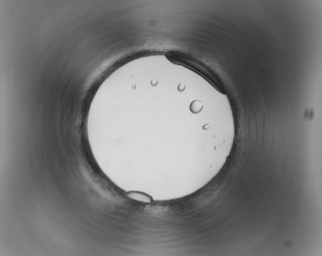 X0000111790440200909031201