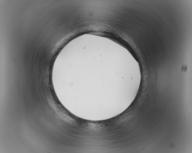 X0000111790442200909031201