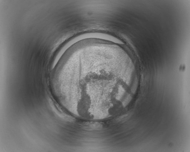 X0000111790443200909031201