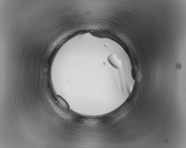 X0000111790444200909031201