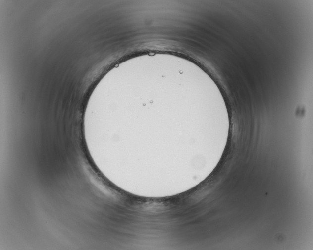 X0000111790445200909031201