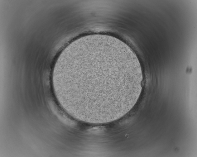 X0000111790447200909031201