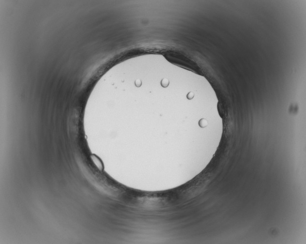 X0000111790448200909031201