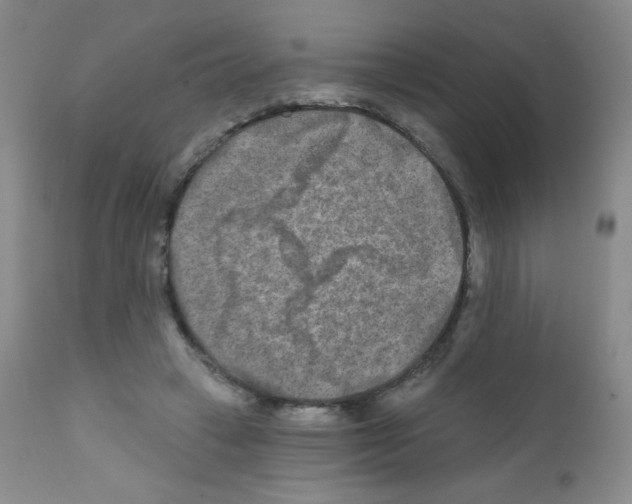 X0000111790449200909031201