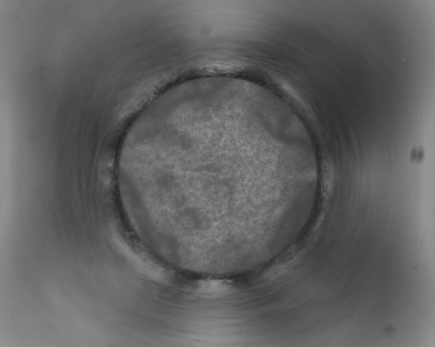 X0000111790451200909031202