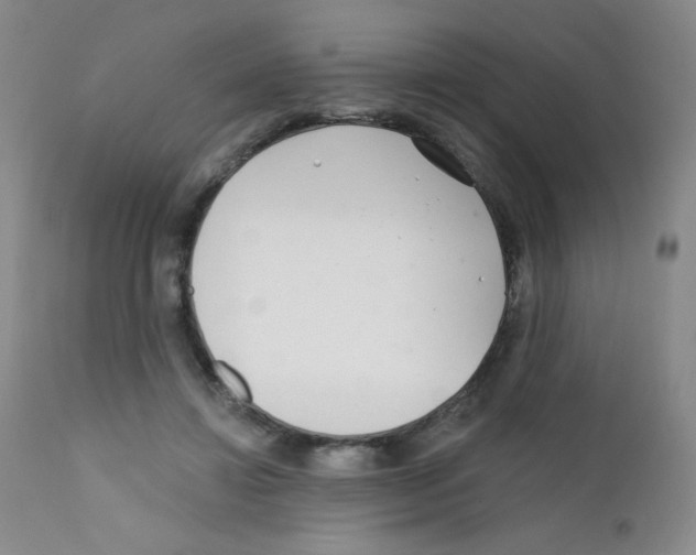 X0000111790452200909031202