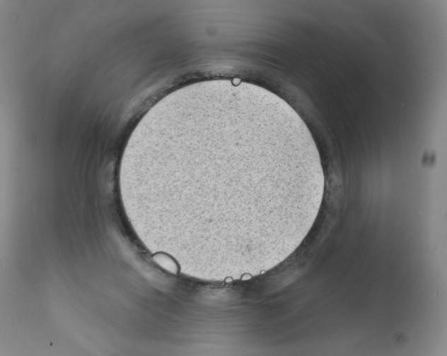 X0000111790454200909031202