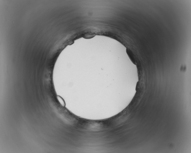 X0000111790456200909031202