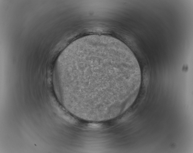 X0000111790457200909031202